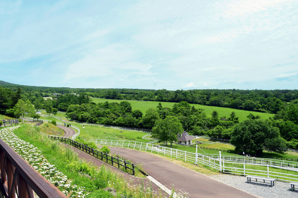 まきばレストラン