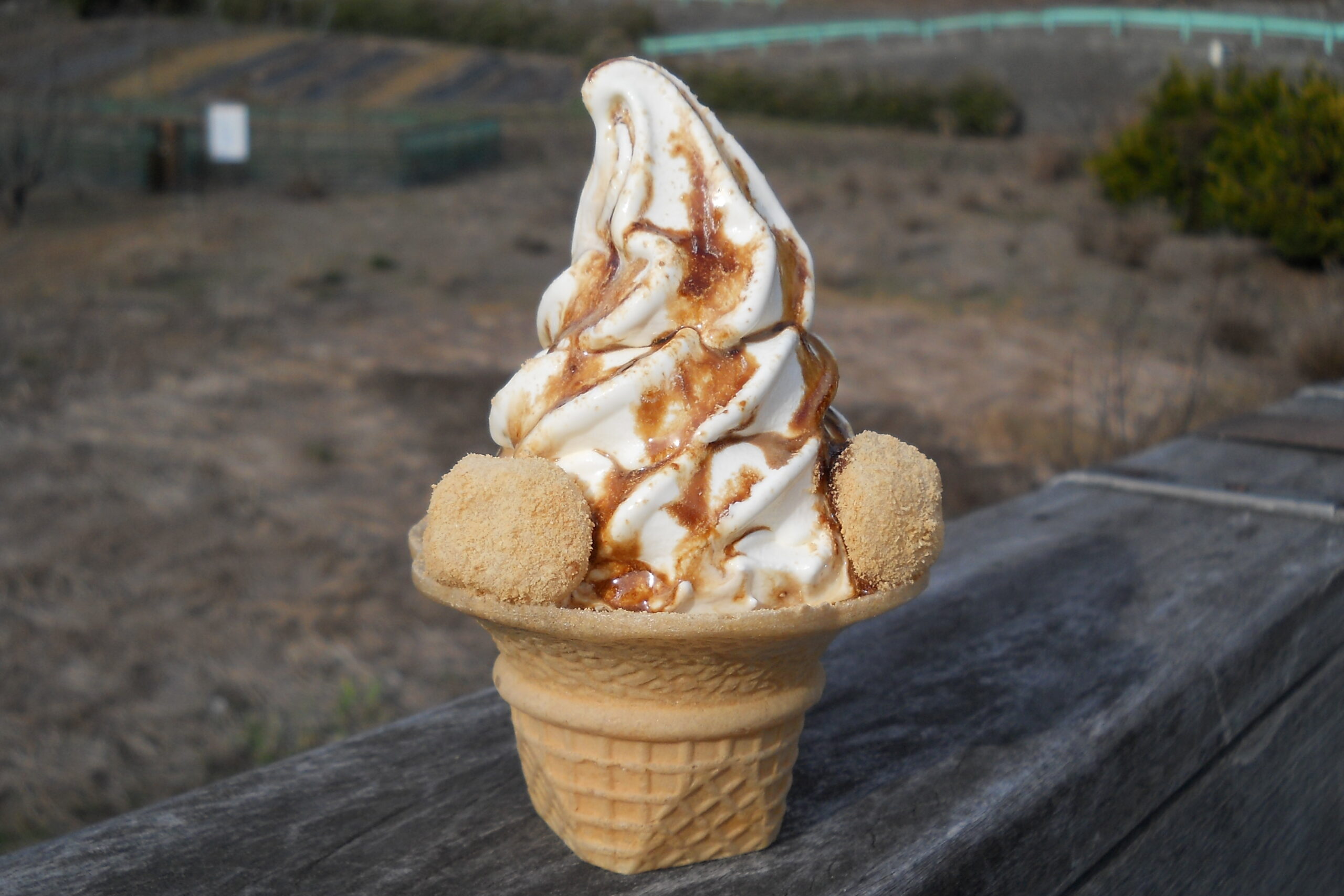 道の駅南きよさと ソフトクリームコーナ