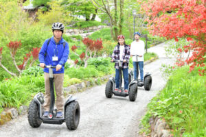 アクティヴィティーズ